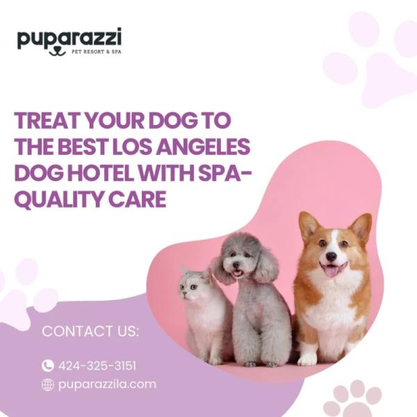 Treat Your Dog to the Best Los Angeles Dog Hotel with Spa-Quality Care