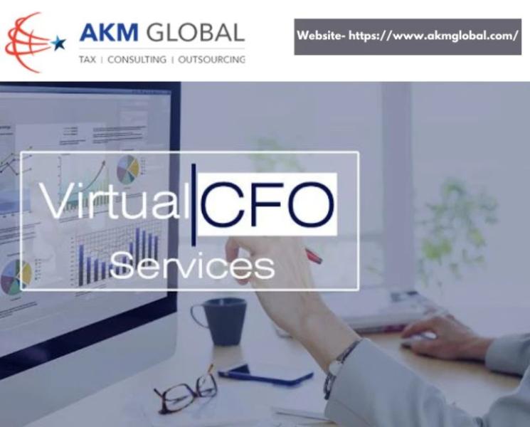 Elevate Your Business with AKM Global’s Virtual CFO Services