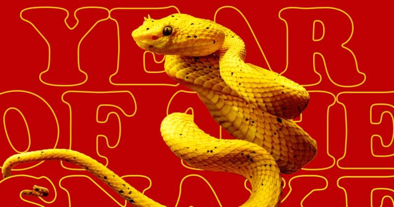 Lunar New Year 2025: The Year of the Snake is all about shedding that bad energy