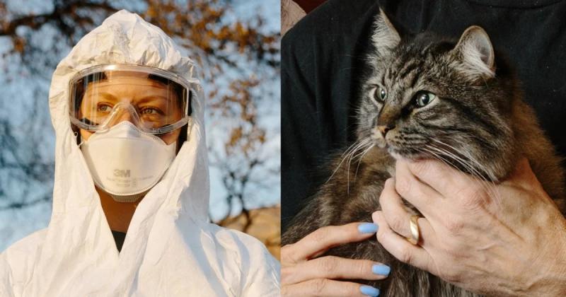 What California families saved before wildfires destroyed their homes