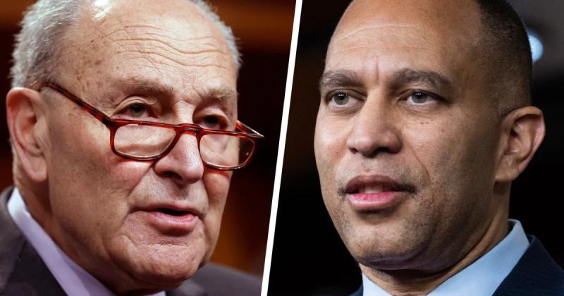 Democrats find their voice fighting Trump's federal funding freeze