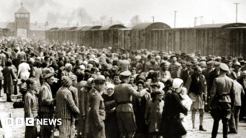 Auschwitz: How death camp became centre of Nazi Holocaust - BBC News