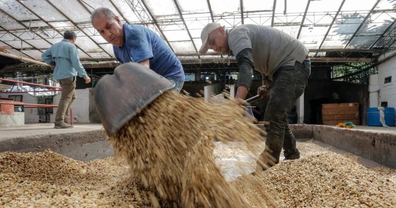 Coffee, crude oil, cut flowers: The Colombian goods you may be paying more for under Trump’s tariffs