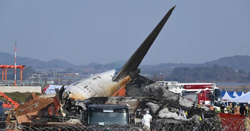 Duck DNA found in both engines of Jeju Air plane that crashed, report says
