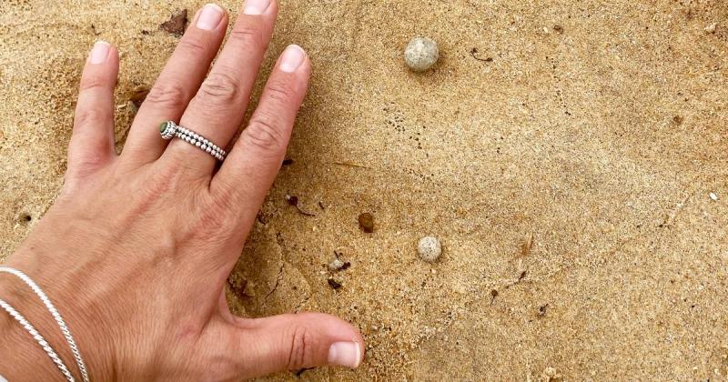 Sydney beaches shut again over mysterious debris washed on shore