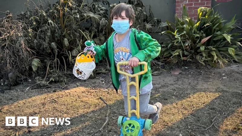 A bowl, a saw, a toy - this is what the victims of LA fires went back to get